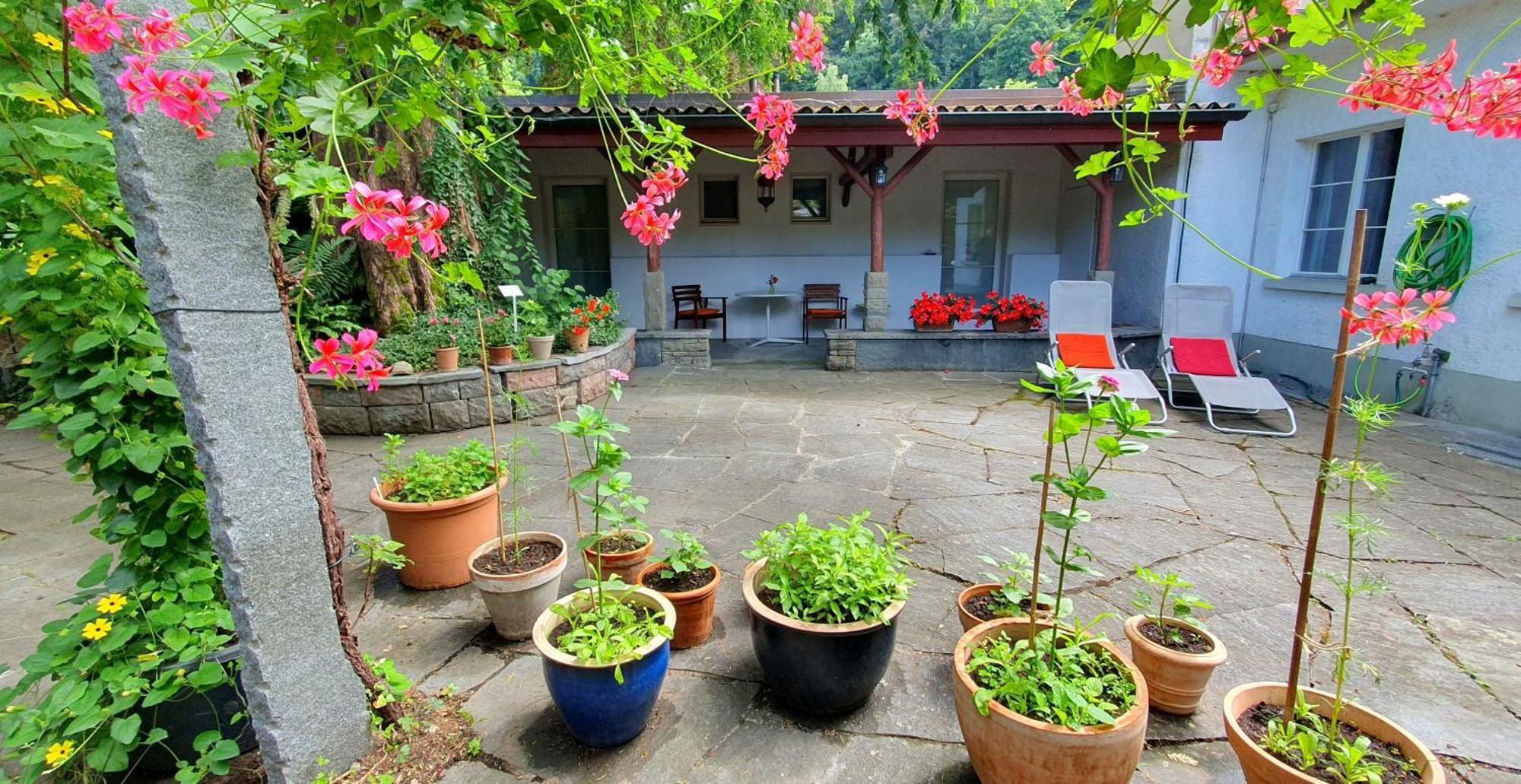 Studio Beim Rhein - Ziegelhuette Flaach Exterior photo